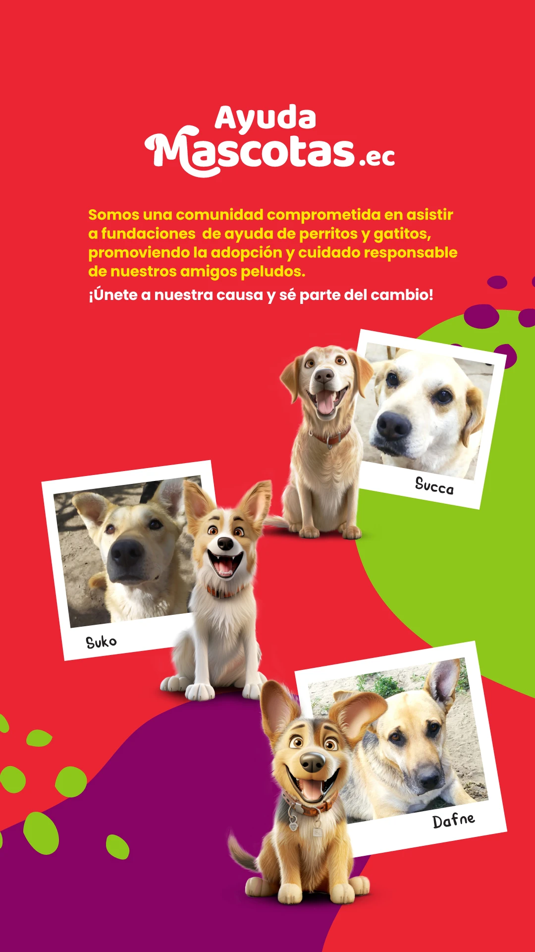 ultimas2 copy