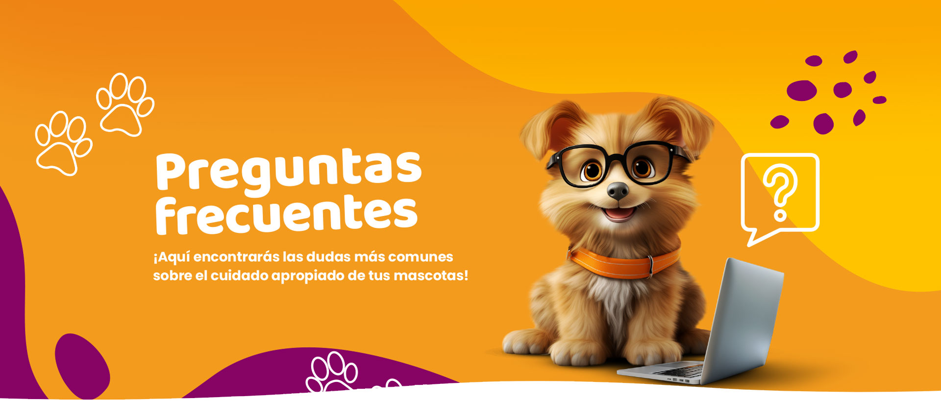 preguntas frecuentes