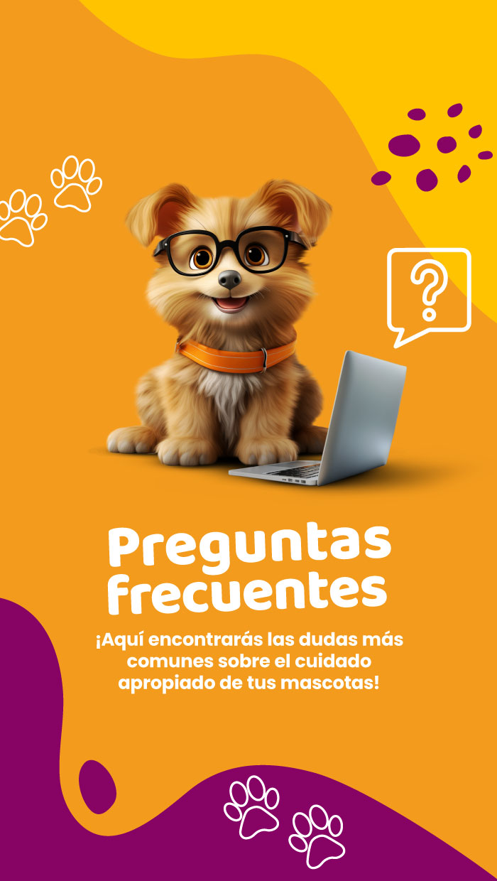 preguntas frecuentes