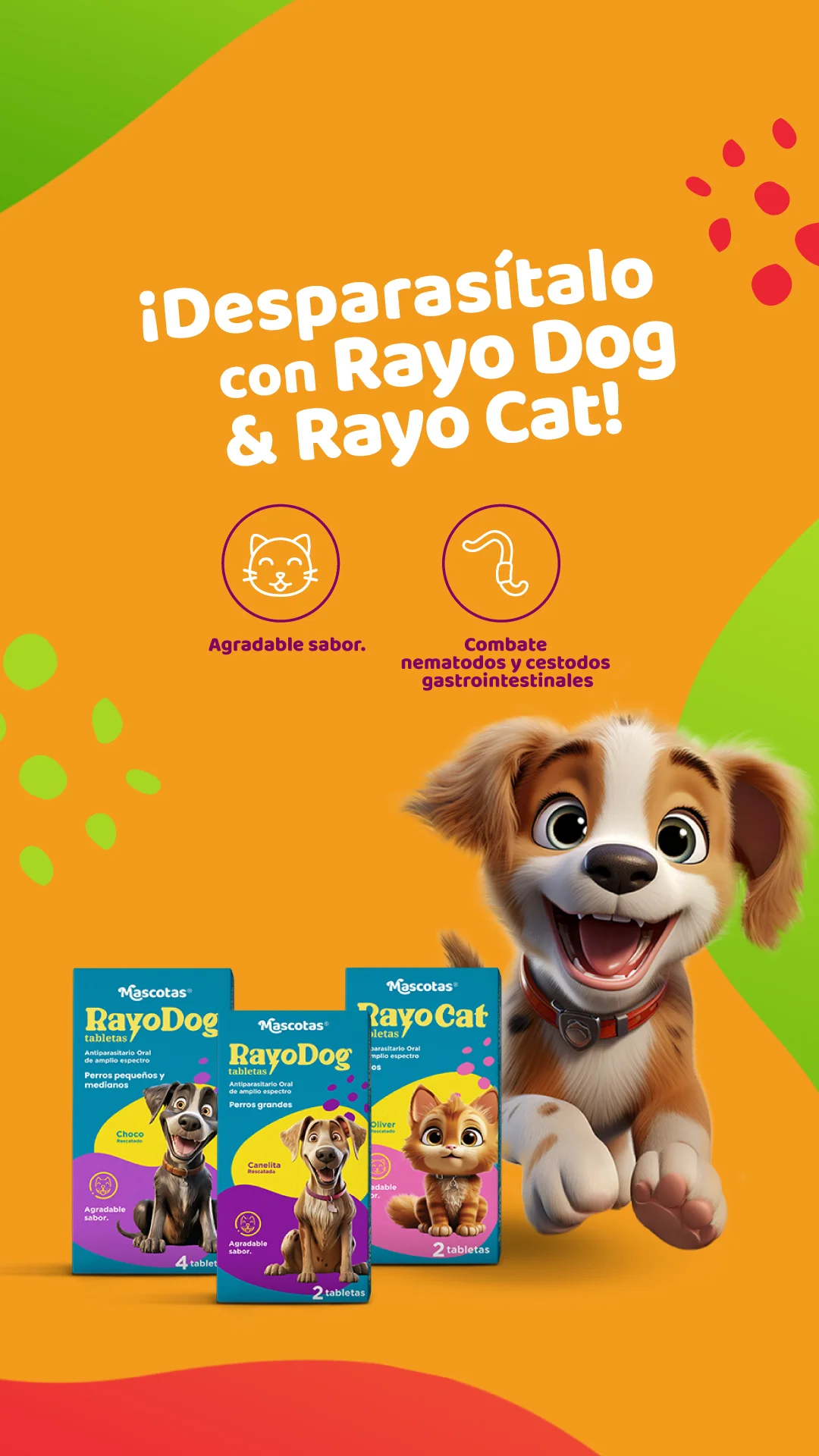 banner-rayo-dog-1920x805-movil